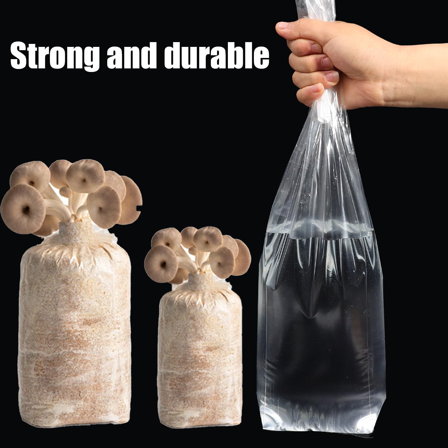 Mushroom Spawn Bag - 5개입 버섯 배양 백 PVC 기질
