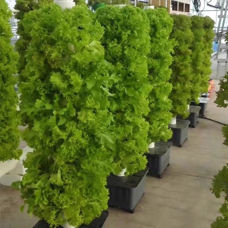 Hydroponic Farming Agriculture - 실내 수직 수경법 성장 시스템 장비