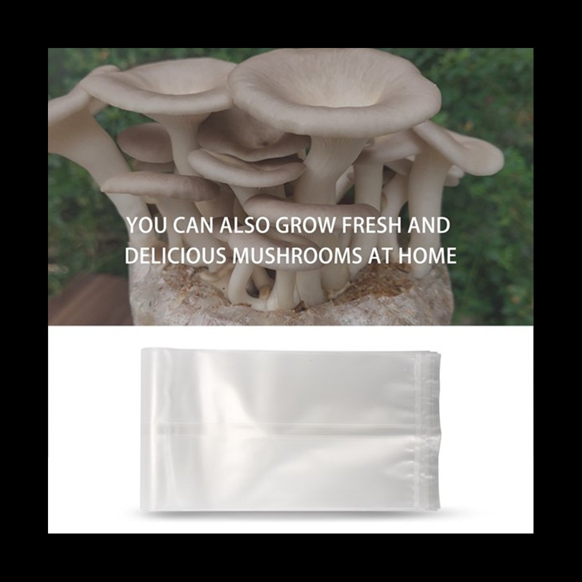 Mushroom Spawn Bag - A78I 50개입 버섯 재배용 백/버섯 배양