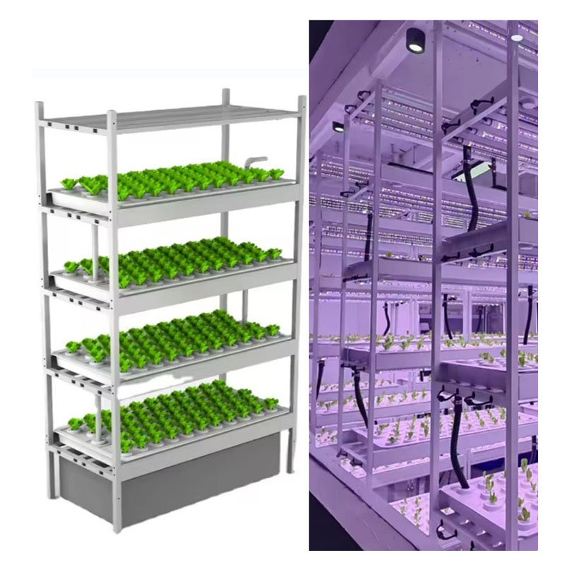 온실 농업 장비 버섯 채소 과일 재배 수직 농장 수경  - Farming Agriculture Equipment 리뷰 및 가격