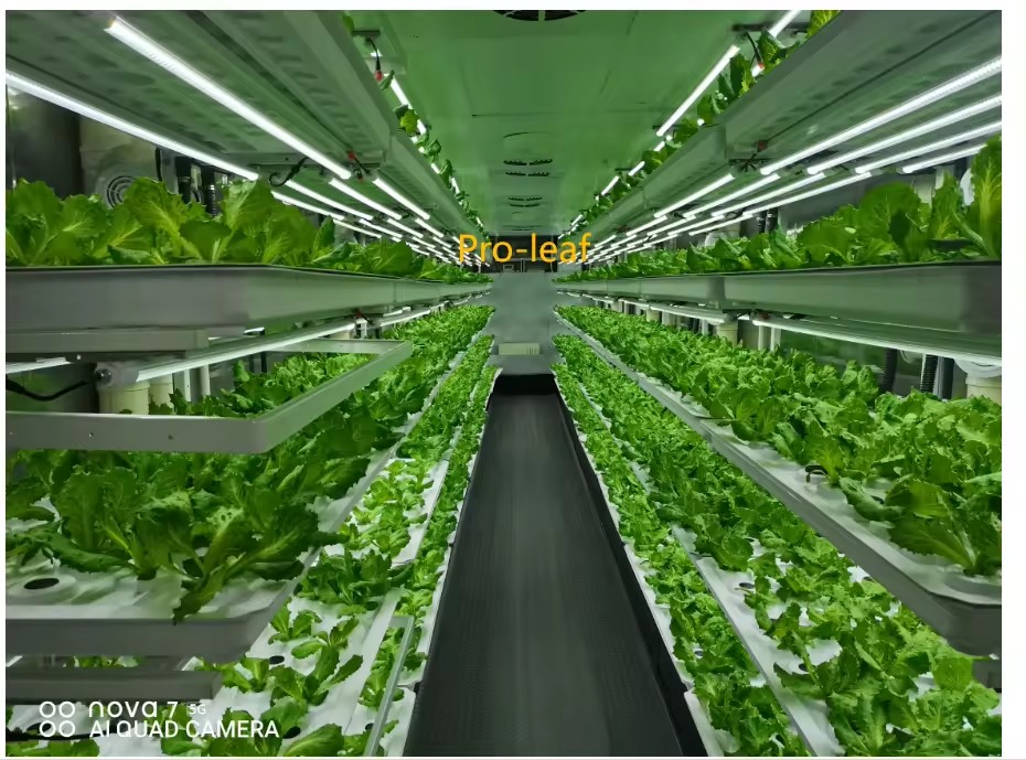 온실 농업 장비 버섯 채소 과일 재배 수직 농장 수경  - Farming Agriculture Equipment 리뷰 및 가격