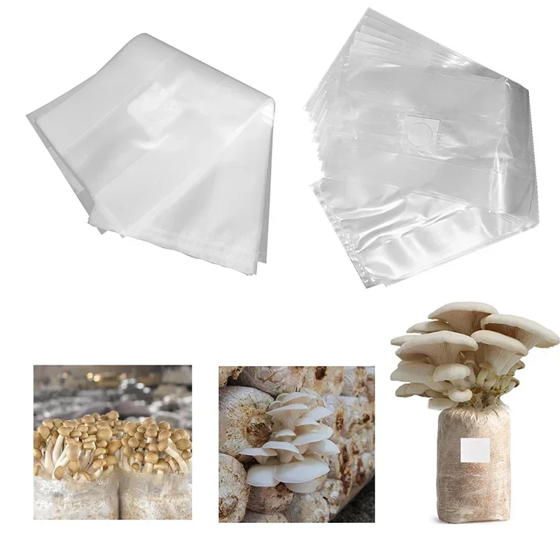 10/20개 버섯 재배용 가방, 고온, 사전 밀봉 가능 - Mushroom Spawn Bag 리뷰 및 가격