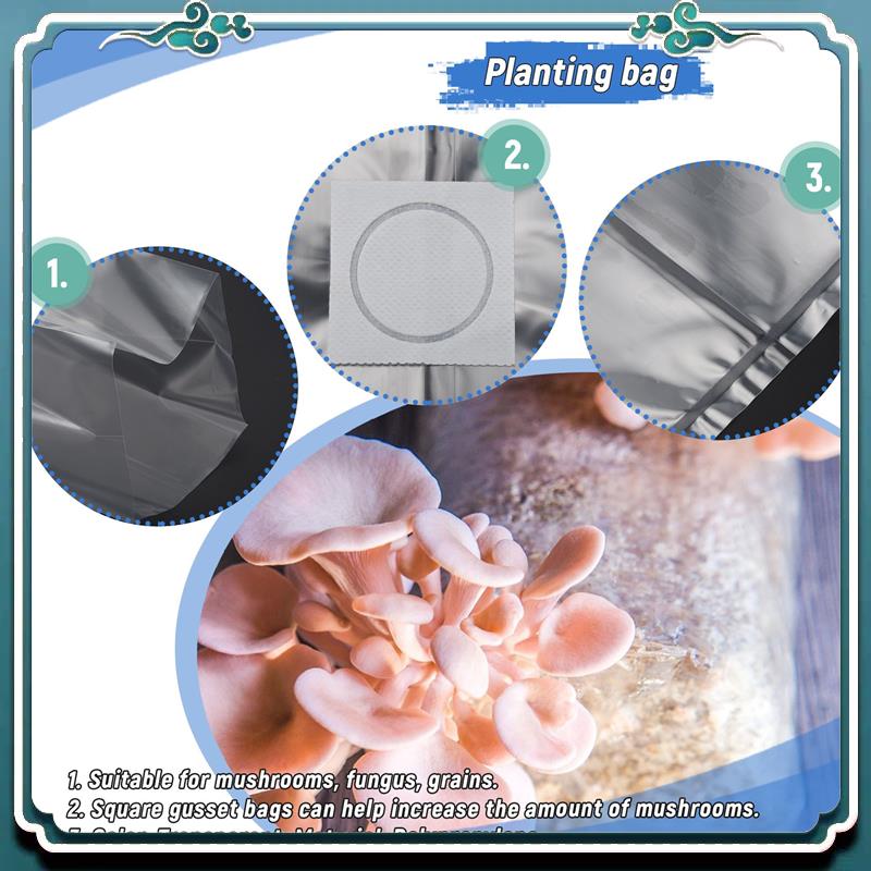 50개입 10X20인치 PVC 버섯 배양 가방, 고온용 - Mushroom Spawn Bag 리뷰 및 가격
