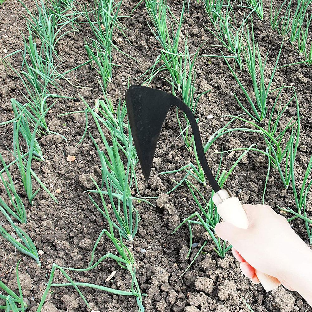 가정용 삼각형 고랑 괭이, 농업 잡초 괭이, 식재 야채 - Agriculture Farming Vegetables 리뷰 및 가격