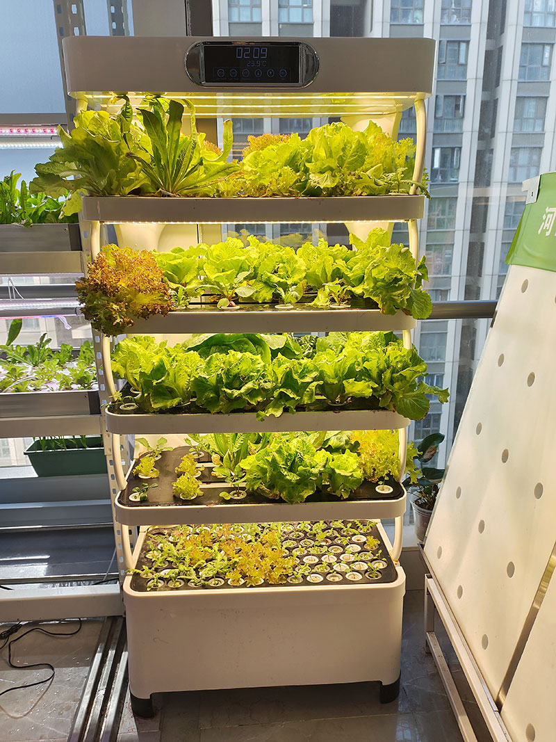 농업 기계로 채소, 상추 및 딸기 재배 수직 시스템 수 - Farming Agriculture Equipment 리뷰 및 가격