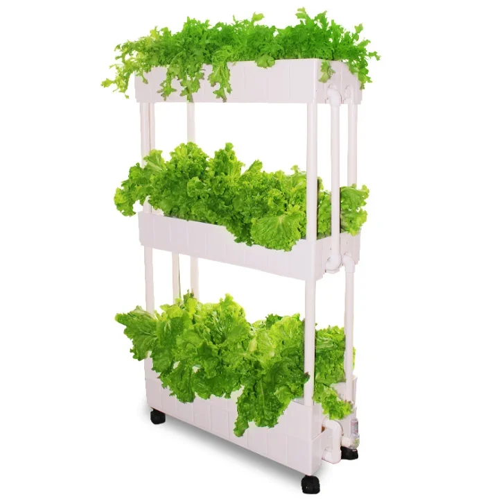 맞춤형 수경재배 수직형 실내 농장 레드배추 재배용 재배 - Hydroponic Farming Agriculture 리뷰 및 가격
