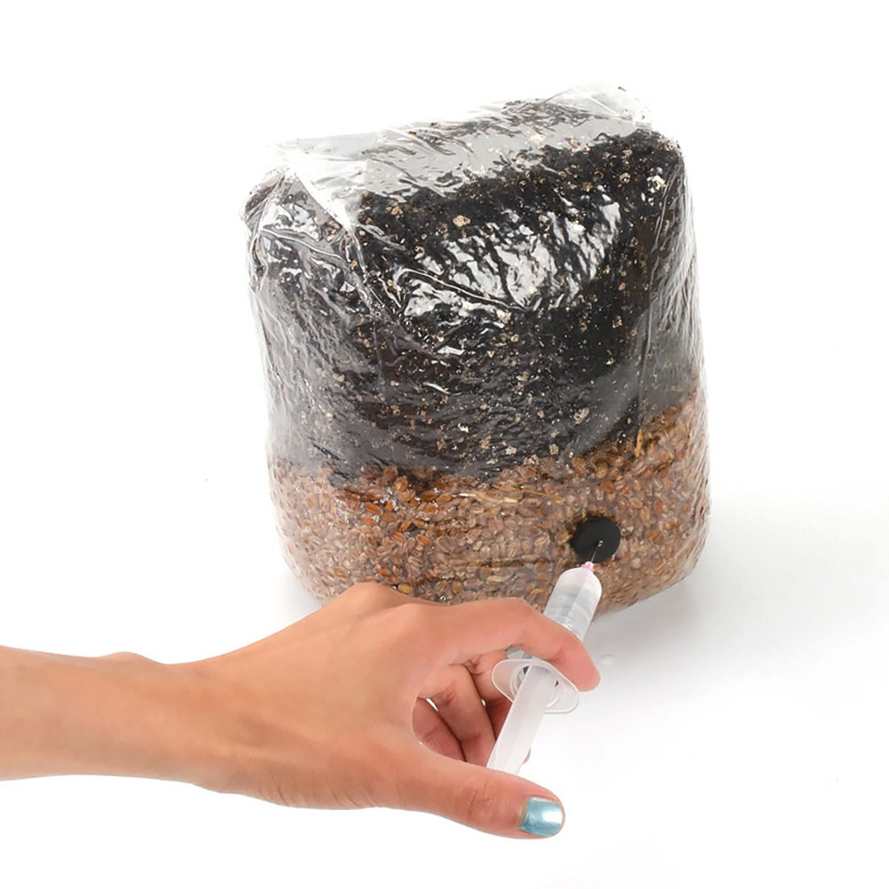 20개입 버섯 재배용 가방, 통풍구가 있는 투명 PP  - Mushroom Spawn Bag 리뷰 및 가격