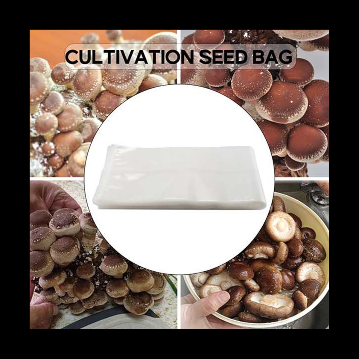 A78I 50개입 버섯 재배용 백/버섯 배양 백/농장용 - Mushroom Spawn Bag 리뷰 및 가격